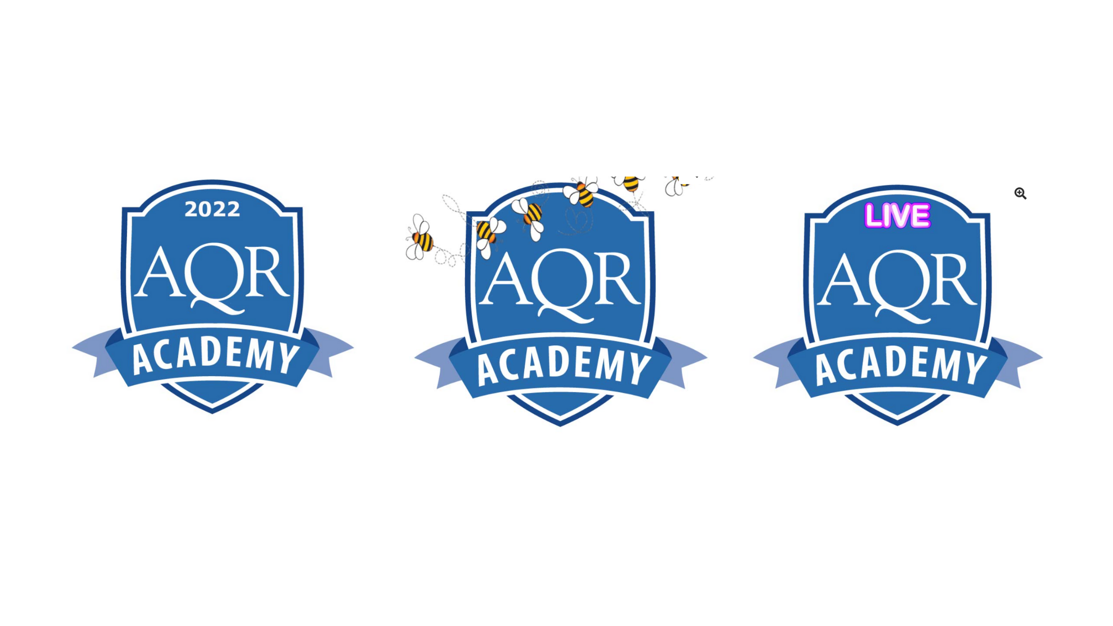 Upcoming AQR Academy